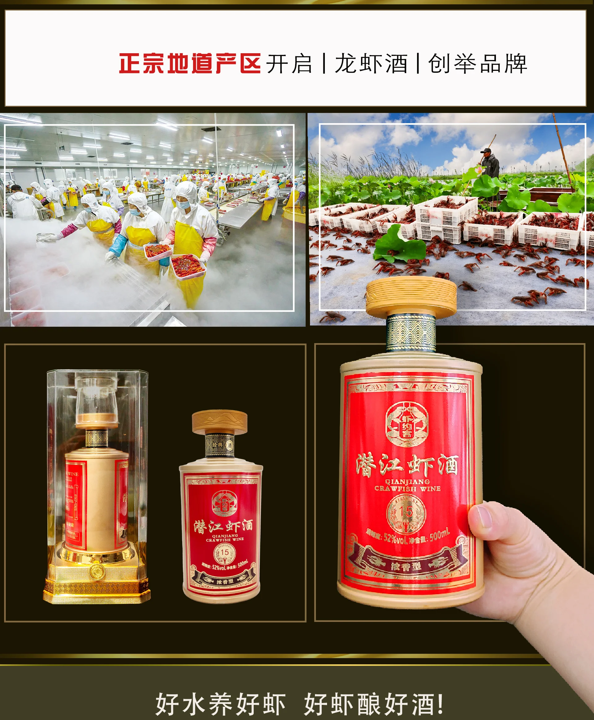 中国龙虾酒 潜江虾酒